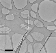 Жидкометаллическая технология синтеза атомно-тонкого моносульфида олова улучшает его пьезоэлектрические свойства